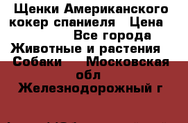 Щенки Американского кокер спаниеля › Цена ­ 15 000 - Все города Животные и растения » Собаки   . Московская обл.,Железнодорожный г.